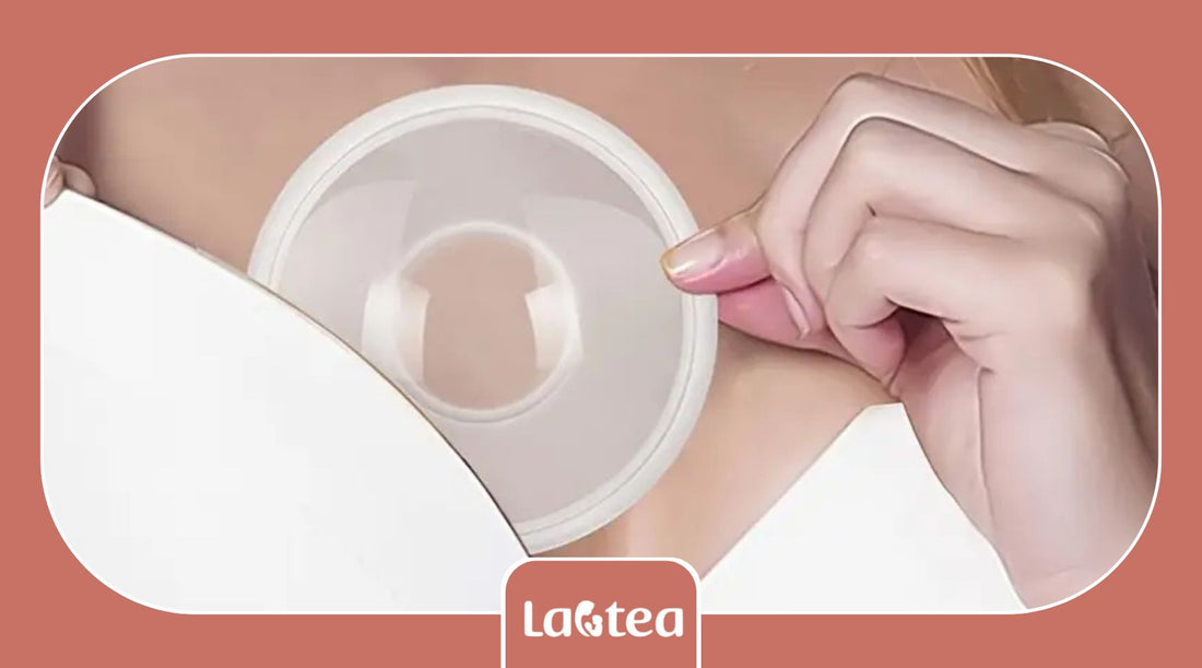 How to Save Every Precious Drop with Lactea Breast Milk Collector Shells